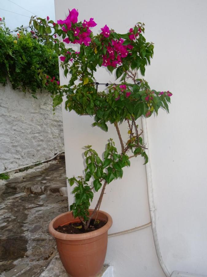 Koróni Fotis House 빌라 외부 사진